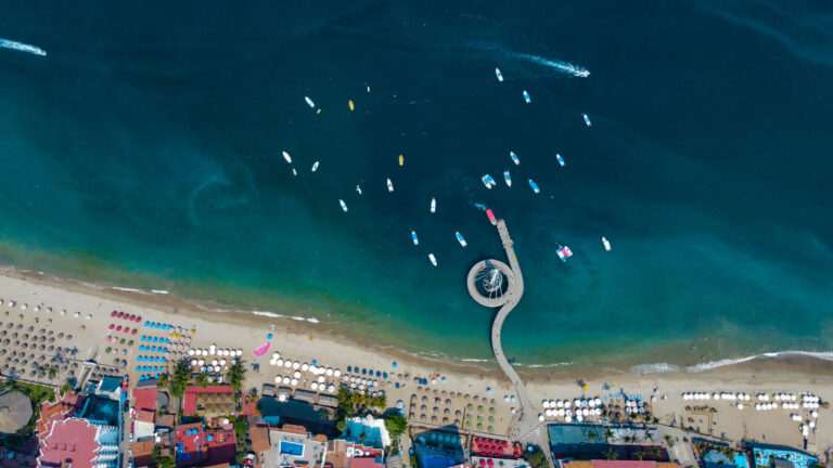 THE NEIGHBORS OF THE AMAPAS COLONY PRESENT